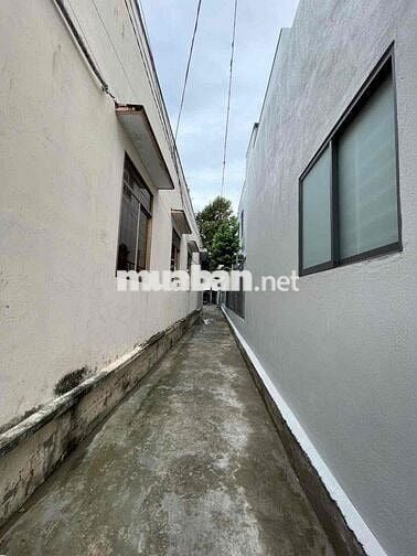 ❌❌Mặt tiền Nguyễn Văn Tạo P4 Tân An: 📐📐DT: 2,6x60m nở hậu 22m - 846m2