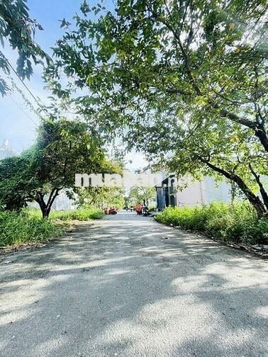 BÁN ĐẤT FULL THỔ 135M2,NGANG 5M,NGAY KDC TÂN TIẾN, TTH, Q.12, 7,39 TỶ
