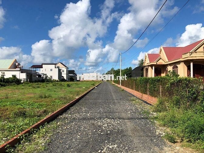 Bán Đất Xuyên Mộc 1000m² Mặt Tiền Nhựa - Giá 16,5 Tỷ - Sổ Hồng