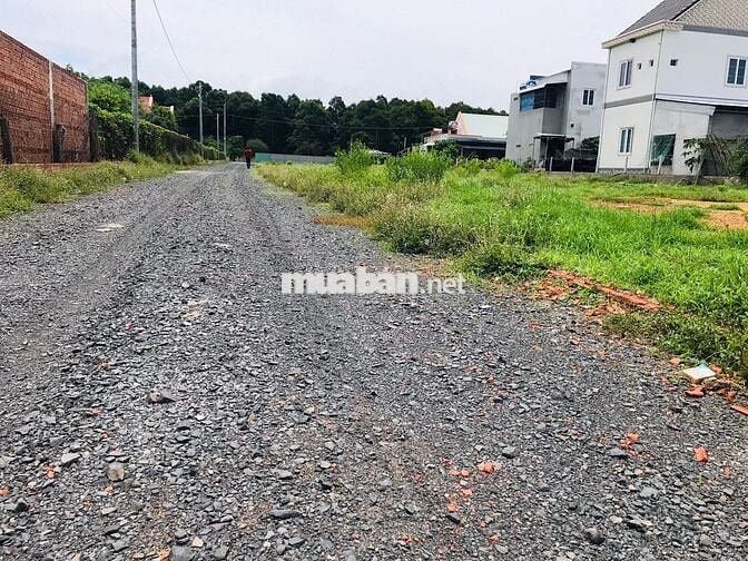 Bán Đất Xuyên Mộc 1000m² Mặt Tiền Nhựa - Giá 16,5 Tỷ - Sổ Hồng