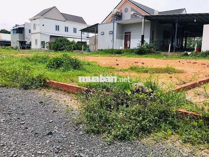 Bán Đất Xuyên Mộc 1000m² Mặt Tiền Nhựa - Giá 16,5 Tỷ - Sổ Hồng
