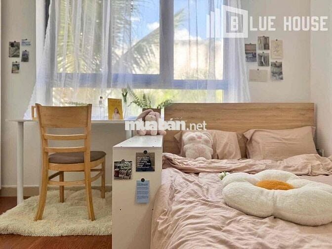 🎊STUDIO DECOR SIÊU XINH NGAY KHUÔNG VIỆT/ KẾ ĐẠI HỌC VĂN HIẾN