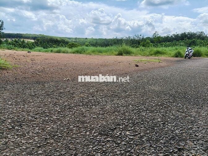 🌳 CẦN BÁN LÔ ĐẤT NGAY SÁT TRƯỜNG TH  #1667M² - SẴN #100M² THỔ CƯ!