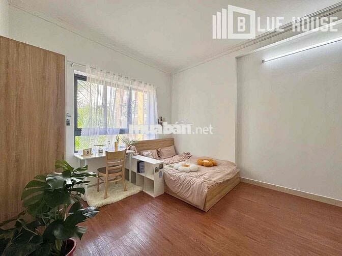 🎊STUDIO DECOR SIÊU XINH NGAY KHUÔNG VIỆT/ KẾ ĐẠI HỌC VĂN HIẾN