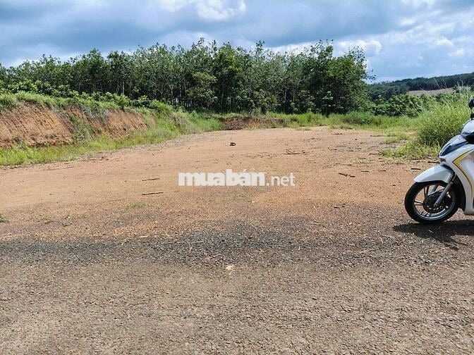 🌳 CẦN BÁN LÔ ĐẤT NGAY SÁT TRƯỜNG TH  #1667M² - SẴN #100M² THỔ CƯ!