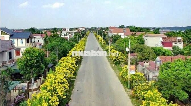 Bán đất đấu giá full thổ cư, giáp khu CN Trung Hà 200 ha, Ba Vì-Hà Nội