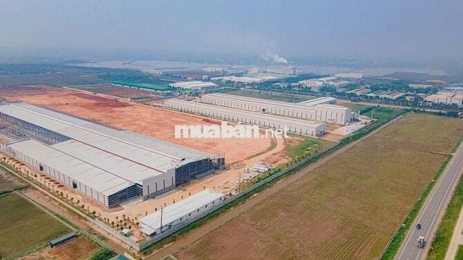 Bán đất đấu giá full thổ cư, giáp khu CN Trung Hà 200 ha, Ba Vì-Hà Nội