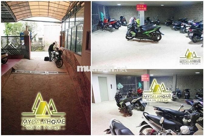 Cho thuê căn hộ mini 35m2 P2, TP Đà Lạt full nội thất gần ĐH Đà Lạt