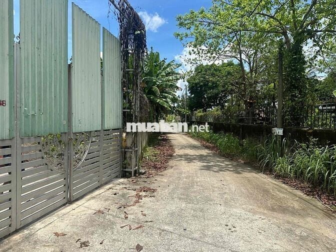 ngộp ngân hàng cần bán gấp 5000m2 có thổ cư 300m , 2 mặt tiền
