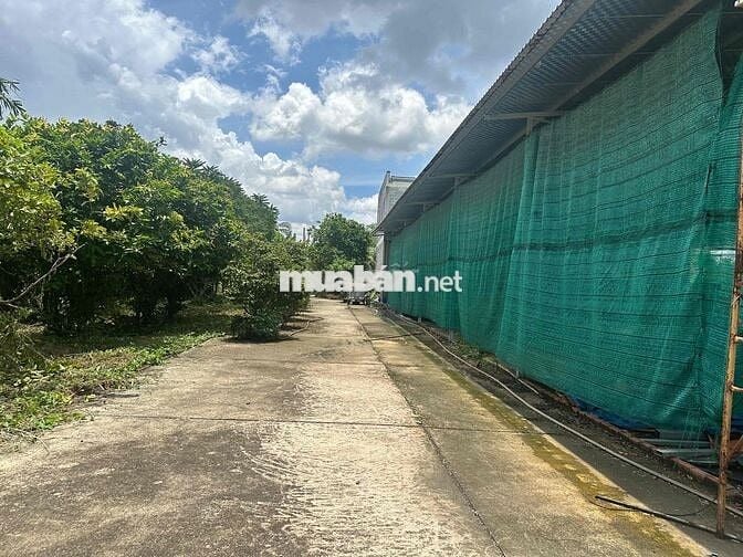 ngộp ngân hàng cần bán gấp 5000m2 có thổ cư 300m , 2 mặt tiền