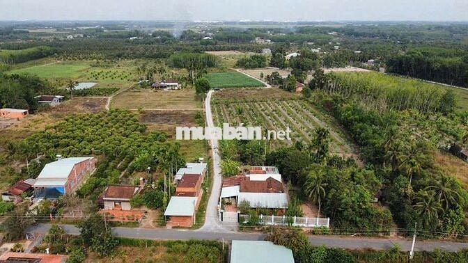 BDS KCN Hiệp Thạnh  5x22 fULL  thổ cư  390 triệu thương lượng