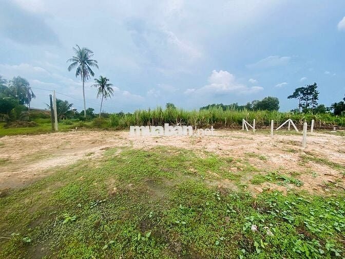 BDS KCN Hiệp Thạnh  5x22 fULL  thổ cư  390 triệu thương lượng
