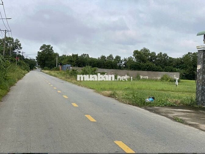 CÓ NGAY LÔ ĐẤT ĐẸP SHR 147M2 MT ĐƯỜNG LỚN XÃ TÂN AN HỘI CHỈ 425TR FULL