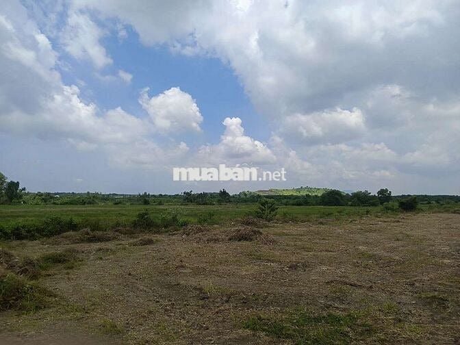 Đất nền Bà Rịa Vũng Tàu, Pháp lý đảm bảo, sổ hồng có sẵn