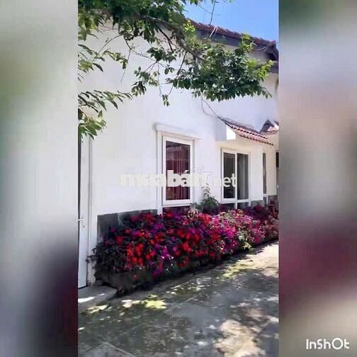 CHO THUÊ CỤM VILLA SÂN VƯỜN VIEW ĐẸP NGÔ THÌ SỸ P6 ĐÀ LẠT