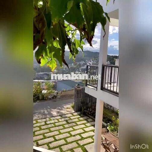 CHO THUÊ CỤM VILLA SÂN VƯỜN VIEW ĐẸP NGÔ THÌ SỸ P6 ĐÀ LẠT