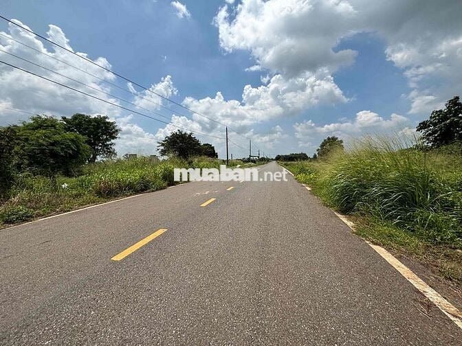 Đất nền Bà Rịa , cách biển Phước Hải 15'