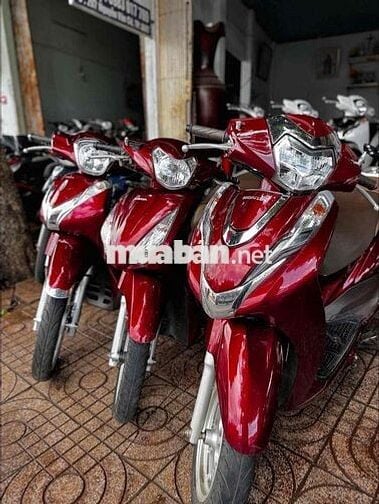 Thanh Lý Đa Dạng Các Loại Xe