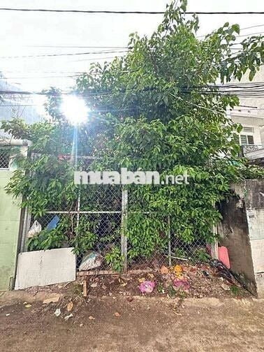Bán đất hẻm xe hơi đường Lê Lợi