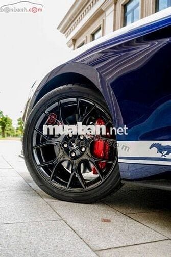 Ford Mustang 2.3 EcoBoost Fastback 2019