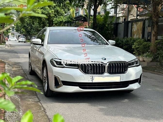 BMW 5 Series 520i Luxury 2020 - 1 Tỷ 389 Triệu