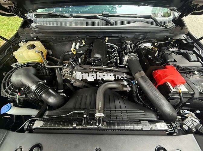 Ford Ranger 2022 bản XLS 2.0 4x2 AT - 61000 km