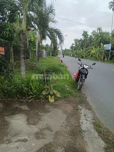 Bán đất mặt tiền Tỉnh Lộ 885, xã Châu hòa, H.Giồng Trôm, tỉnh Bến Tre 