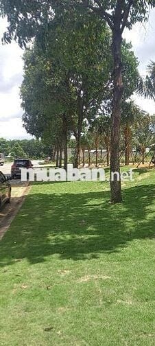 BÁN ĐẤT MẶT TIỀN TRUNG TÂM THỚI HÒA-TPHCM