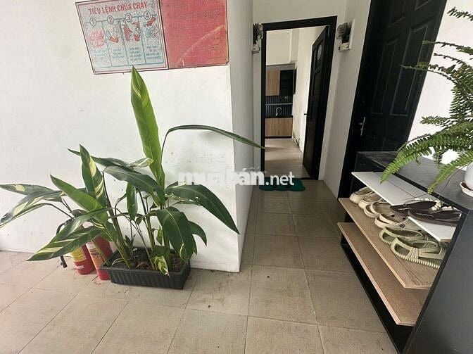 CHO THUÊ CĂN HỘ D2D PHƯỜNG THỐNG NHẤT GIÁ 8 TRIỆU
