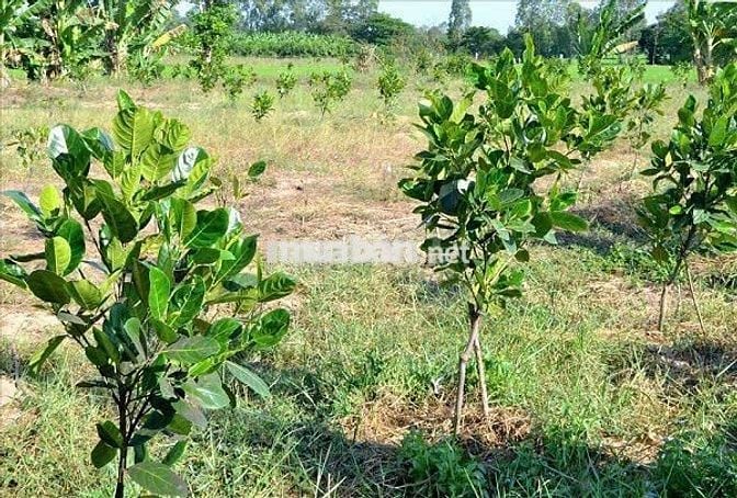 bán lỗ miếng đất bình dương ngay trung tâm, 400tr sang tên ngay