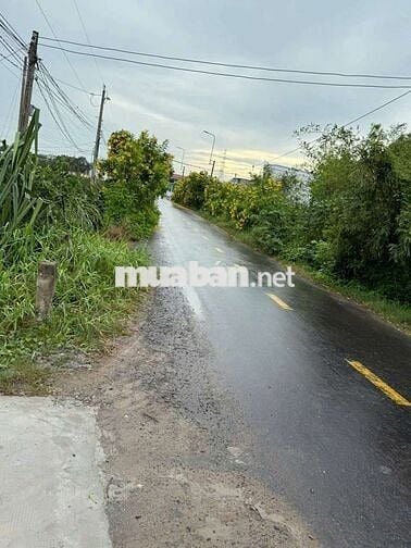 Bán đất mặt tiền đường nhựa 8m