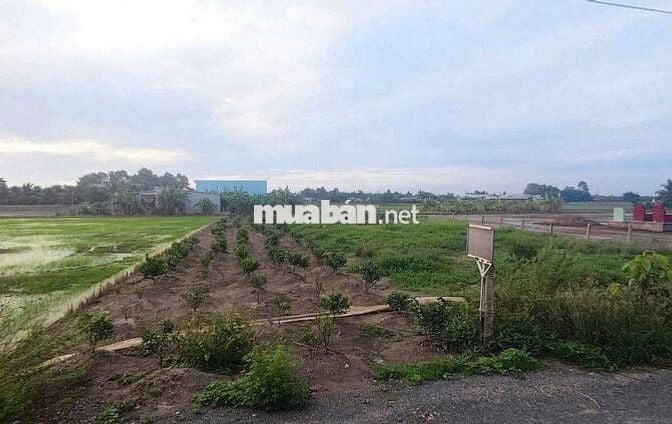 Bán đất mặt tiền đường nhựa 8m