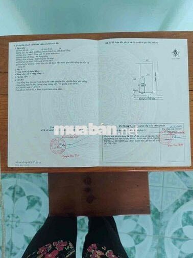 chính chủ cần bán. hoa hồng cho người giới thiệu. liên hệ chính chủ