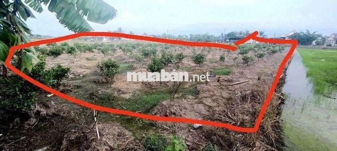 Bán đất mặt tiền đường nhựa 8m