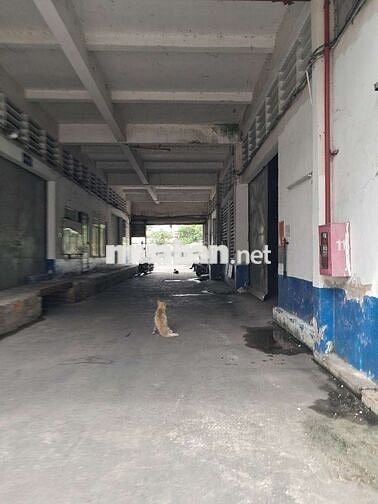 KHO Q.4 PCCC TỰ ĐỘNG BÀN GIAO NGAY. DA DẠNG DIỆN TÍCH.