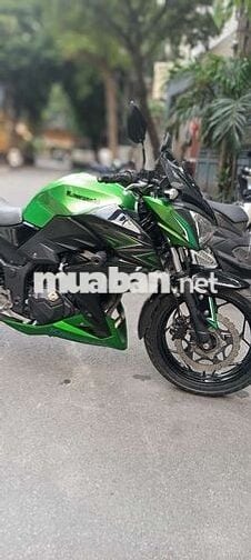 Z300 bstp