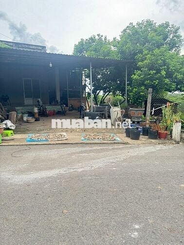 CHÚ EM MUỐN BÁN LẠI MIẾNG ĐẤT Ở PHÚ GIÁO BINH DƯƠNG