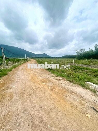 3400m2 đất gần núi bà đen -Dương Minh Châu-Tây Ninh