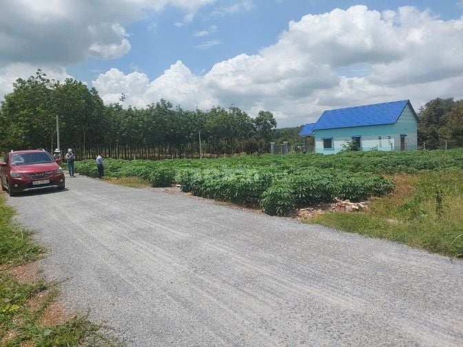Bán đất SHR,200m2 sát KCN Phước Đông, đường nhựa thông,480tr,Tây Ninh