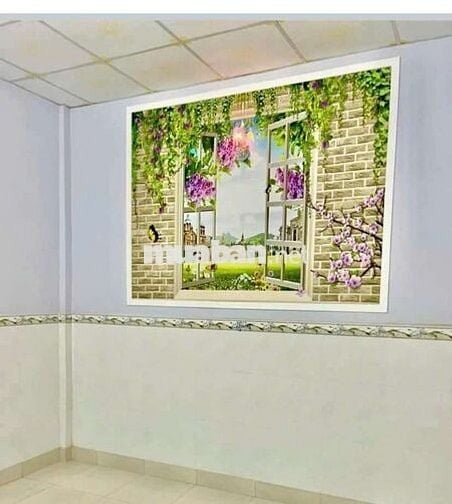Nhà cấp 4 giá bể nợ xe hơi tới nhà Cần Thơ