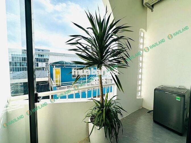 CĂN HỘ GÁC LỬNG CHO THUÊ TRUNG TÂM THÀNH PHỐ Ở ĐƯỢC 4 BẠN SV