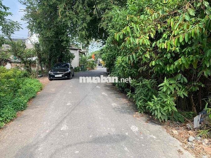 CHỦ BÁN NHANH LÔ ĐẤT 202m² TÂN THÔNG HỘI – SANG NƯỚC NGOÀI ĐỊNH CƯ.