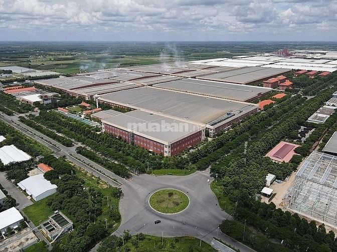 Bán đất SHR,200m2 sát KCN Phước Đông, đường nhựa thông,480tr,Tây Ninh