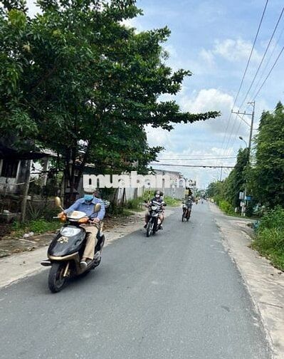 CẦN VỐN LÀM ĂN, BÁN ĐẤT 319M2, CÂY BÀI, PHƯỚC VĨNH AN, 550TR