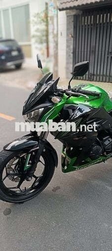 Z300 bstp