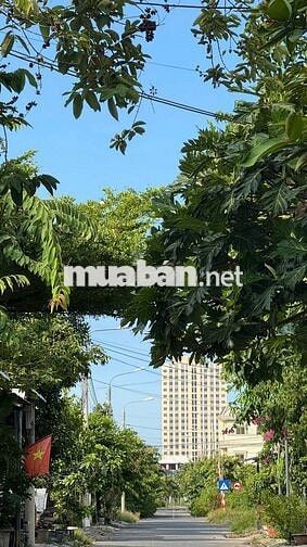 Cần bán lô đất TDC hòa hiệp nam liên chiểu