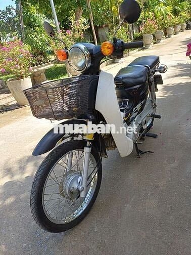 Cup Dalim 50cc 2020