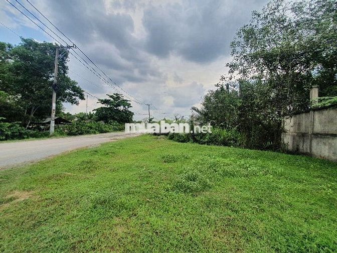 Bán đất trống đường Hưng Long - Quy Đức, Bình Chánh, TPHCM