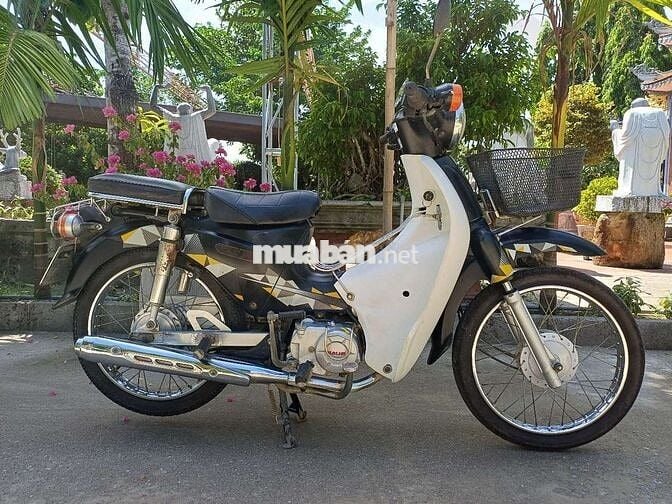 Cup Dalim 50cc 2020