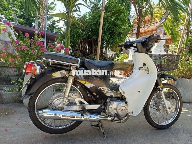 Cup Dalim 50cc 2020